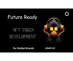 Launch NFT Tokens with Smart Contract Experts