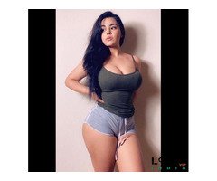 Call Girls In Shalimar Bagh-->9891005666 <--500+ Hot Females and Escorts in Delhi