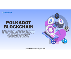 Custom Web3 Solutions by a Polkadot Development Company