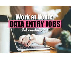 Daily Data Entry Work from Home | Contact Now