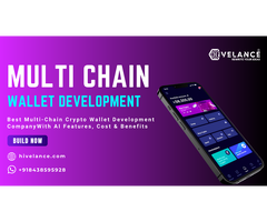 Multi-Chain Crypto Wallet Development Company - Hivelance