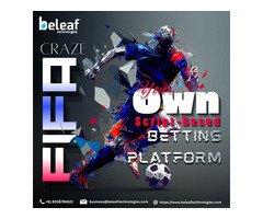 Monetize the Global FIFA Craze with Your Own Script-Based Betting Platform
