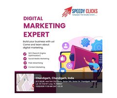 Speedy Clicks - Digital Marketing Company in Chandigarh