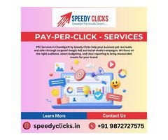 Speedy Clicks - Digital Marketing Company in Chandigarh