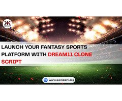 Launch Your Fantasy Sports Platform with KoinKart