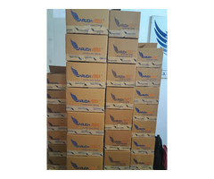 Best International Courier Service