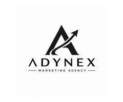 Adynex Digital Marketing Agency LinkedIn Ads Management Services