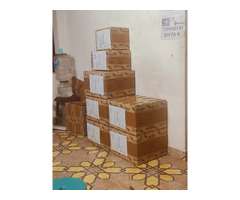 GarudaVega International Courier Service - adyar