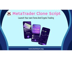 MetaTrader Clone Script _ Koinkart