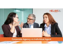 Corporate Agency vs Individual Agent
