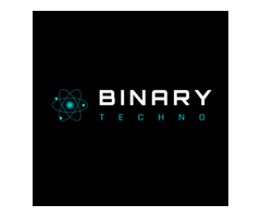 Binary Techno - Web Design Company in India