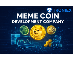 Top Meme Coin Development Company for Custom Token Launch
