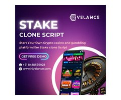 Stake Clone Script - Your Partner for Developing a High-Quality Betting App