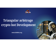 Execute Trades with Automated System in Triangular Arbitrage Crypto Bot