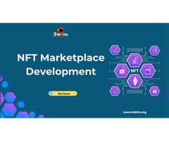 Expand Digital Asset Support with NFT Development
