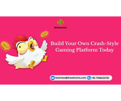 Build Your Own Crash-Style Gaming Platform Today