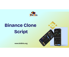 Manage Crypto Assets Efficiently with Binance Clone Script