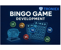 Secure & Scalable Bingo Game Development Company for Gaming Startups
