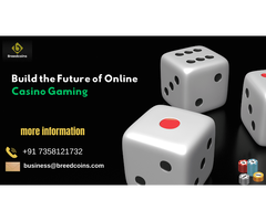 Casino Game Development Solutions by BreedCoins