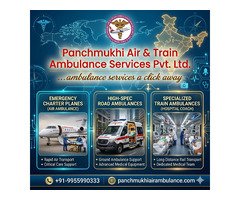 Panchmukhi Air and Train Ambulance Services in Ernakulam Are an Excellent Choice for Transporting Cr