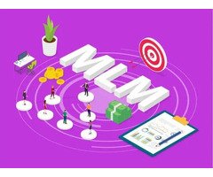 MLM Software Development Company in Punjab