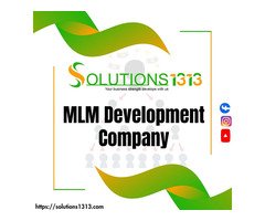 MLM Software Development Company in Punjab