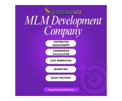 MLM Software Development Company in Amritsar