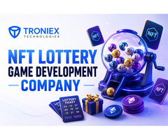 Start Your NFT Lottery Business with Custom Development
