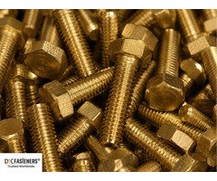 Brass Hex Head Cap Screws