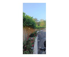 Top Quality Garden Setting Works Neyyattinkara Sasthamangalam Kowdiar Varkala Kanjiramkulam
