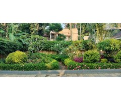 Top Quality Garden Setting Works Neyyattinkara Sasthamangalam Kowdiar Varkala Kanjiramkulam