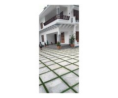 Top Quality Natural Plant Works Neyyattinkara Sasthamangalam Kowdiar Varkala Kanjiramkulam