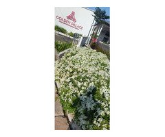 Top Quality Kadappa Stone Works Neyyattinkara Sasthamangalam Kowdiar Varkala Kanjiramkulam