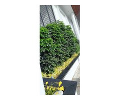 Top Quality Garden Landscaping Works Neyyattinkara Sasthamangalam Kowdiar Varkala Kanjiramkulam