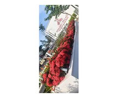 Top 5 Garden Setting Works Kattakada Kilimanoor Neyyattinkara Sasthamangalam Kowdiar Varkala
