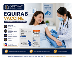 Explore Equirab Price Philippines for Bulk Supply - Oddway