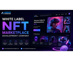 Planning to Enter the White Label NFT Marketplace Business?