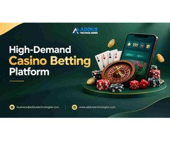 Professional Insights for Building a High Demand Casino Betting Platform