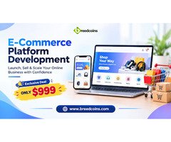 Grow Your Online Store with E-commerce Platform Development – Starting at $999
