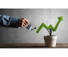 Business Growth Solutions for Sustainable and Scalable Growth