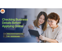 Checking Business Details Before Applying Online
