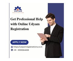 Get Professional Help with Online Udyam Registration