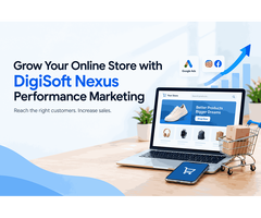 Grow Your Online Store with DigiSoft Nexus Performance Marketing