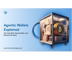 AI Agent Wallet Development Services for Enterprises