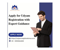 Apply for Udyam Registration with Expert Guidance