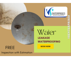 Wall dampness Waterproofing Contractors