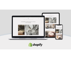 E-Commerce Website on Wordpress or Shopify - Image 2/2
