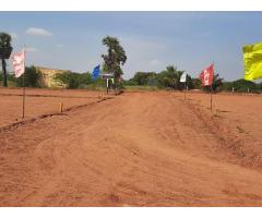plot for sale in trichy - Image 1/2