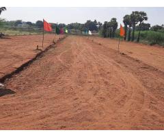 plot for sale in trichy - Image 2/2