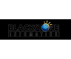 Web Design and Development Company in Coimbatore – Blackstone Infomatics - Image 1/5